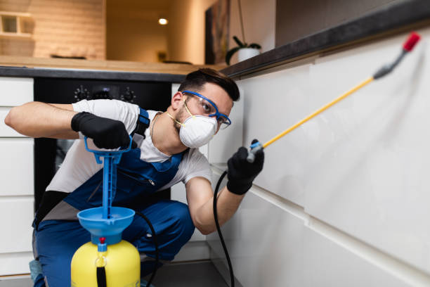Best Local Pest Control Services  in Carey, ID