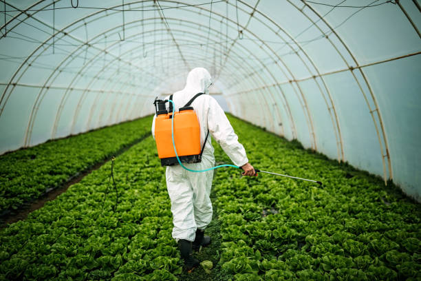 Best Best Pest Control Companies  in Carey, ID