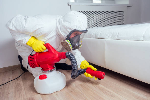 Best Pest Control for Businesses  in Carey, ID