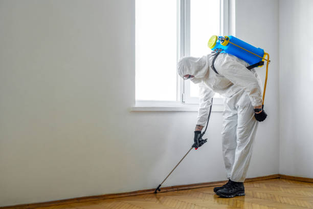 Best Pest Control Near Me  in Carey, ID