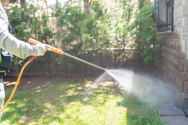 Reliable Carey, ID Pest Control Solutions