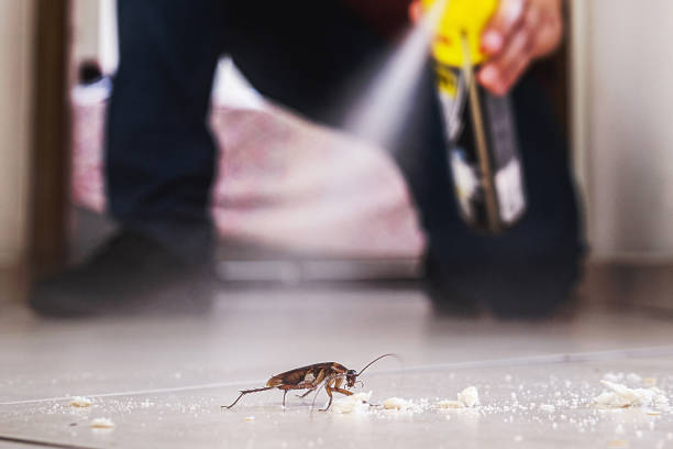 Best Best Pest Control Companies  in Carey, ID