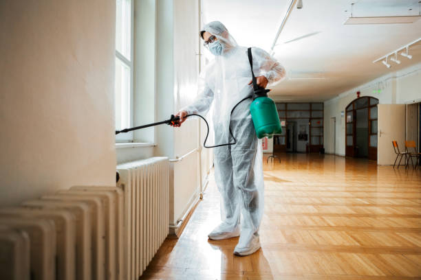 Best Flea Control Services  in Carey, ID